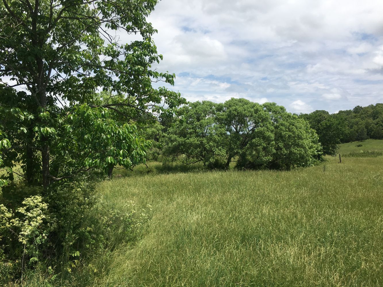 4897 & 4878 Norman Drive, Hartville, MO 65667